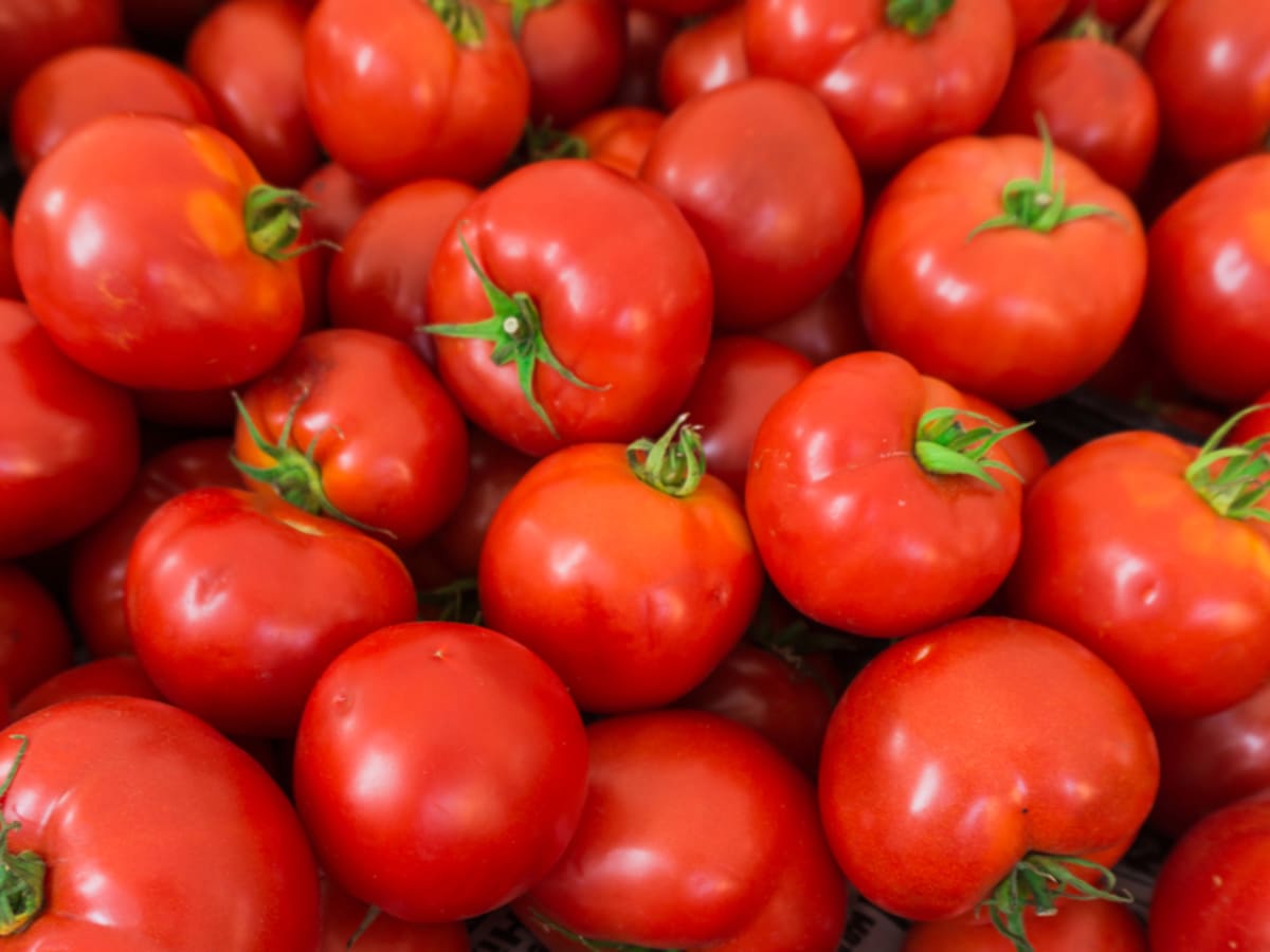 Tomato Prices in Uzbekistan Have Fallen by a Third in a Week, Marking the Start of a Downward Trend